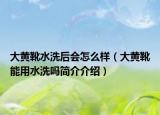 大黄靴水洗后会怎么样（大黄靴能用水洗吗简介介绍）