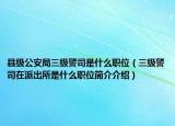 县级公安局三级警司是什么职位（三级警司在派出所是什么职位简介介绍）