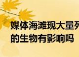 24小时快讯更新 媒体海滩现大量死鱼与军演无关 军演对海里的生物有影响吗