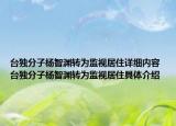 台独分子杨智渊转为监视居住详细内容 台独分子杨智渊转为监视居住具体介绍