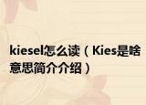 kiesel怎么读（Kies是啥意思简介介绍）