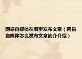 网易自媒体在哪里发布文章（网易自媒体怎么发布文章简介介绍）