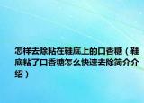 怎样去除粘在鞋底上的口香糖（鞋底粘了口香糖怎么快速去除简介介绍）