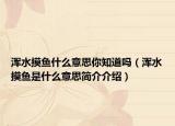 浑水摸鱼什么意思你知道吗（浑水摸鱼是什么意思简介介绍）