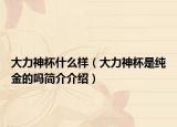 大力神杯什么样（大力神杯是纯金的吗简介介绍）