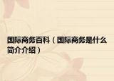 国际商务百科（国际商务是什么简介介绍）