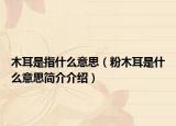 木耳是指什么意思（粉木耳是什么意思简介介绍）