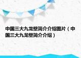 中国三大九龙壁简介介绍图片（中国三大九龙壁简介介绍）