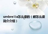 umbreⅱa怎么读的（頔怎么读简介介绍）