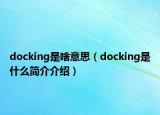 docking是啥意思（docking是什么简介介绍）