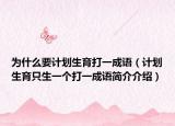 为什么要计划生育打一成语（计划生育只生一个打一成语简介介绍）