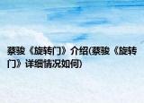 蔡骏《旋转门》介绍(蔡骏《旋转门》详细情况如何)
