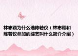 林志颖为什么选陈若仪（林志颖和陈若仪参加的综艺叫什么简介介绍）