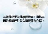 三国战纪手游战魂经验表（街机三国的战魂碎片怎么获得简介介绍）