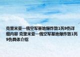 克里米亚一俄空军基地爆炸致1死9伤详细内容 克里米亚一俄空军基地爆炸致1死9伤具体介绍