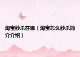 淘宝秒杀在哪（淘宝怎么秒杀简介介绍）