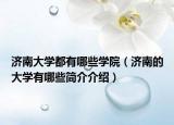 济南大学都有哪些学院（济南的大学有哪些简介介绍）