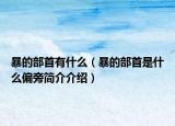 暴的部首有什么（暴的部首是什么偏旁简介介绍）