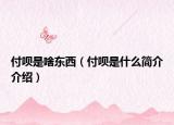 付呗是啥东西（付呗是什么简介介绍）