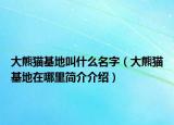 大熊猫基地叫什么名字（大熊猫基地在哪里简介介绍）