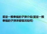 爱是一颗幸福的子弹介绍(爱是一颗幸福的子弹详细情况如何)