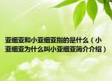 亚细亚和小亚细亚指的是什么（小亚细亚为什么叫小亚细亚简介介绍）