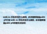 web(os 手机系统怎么刷机  求详细教程是palm p3介绍 web os 手机系统怎么刷机  求详细教程是palm p3详细情况如何)