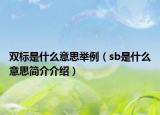 双标是什么意思举例（sb是什么意思简介介绍）