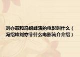 刘亦菲和冯绍峰演的电影叫什么（冯绍峰刘亦菲什么电影简介介绍）