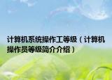 计算机系统操作工等级（计算机操作员等级简介介绍）