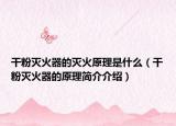干粉灭火器的灭火原理是什么（干粉灭火器的原理简介介绍）