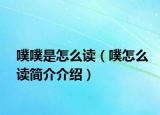 噗噗是怎么读（噗怎么读简介介绍）