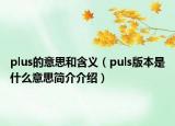 plus的意思和含义（puls版本是什么意思简介介绍）