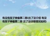 有没有双子神偷第二部(出了没介绍 有没有双子神偷第二部 出了没详细情况如何)