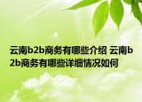 云南b2b商务有哪些介绍 云南b2b商务有哪些详细情况如何