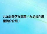 九龙谷景区在哪里（九龙谷在哪里简介介绍）