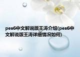 pes6中文解说版王涛介绍(pes6中文解说版王涛详细情况如何)