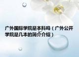 广外国际学院是本科吗（广外公开学院是几本的简介介绍）