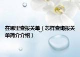 在哪里查报关单（怎样查询报关单简介介绍）