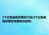 2个亿现金如何理财介绍(2个亿现金如何理财详细情况如何)