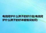 电烧烤炉什么牌子的好介绍(电烧烤炉什么牌子的好详细情况如何)