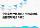 中国龙组什么意思（中国龙组真的存在吗简介介绍）