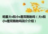 明星大s和小s是双胞胎吗（大s和小s是双胞胎吗简介介绍）