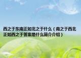 西之于东南正如北之于什么（南之于西北正如西之于答案是什么简介介绍）