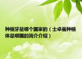 种植牙是哪个国家的（士卓曼种植体是哪国的简介介绍）