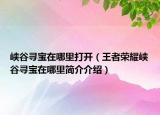 峡谷寻宝在哪里打开（王者荣耀峡谷寻宝在哪里简介介绍）