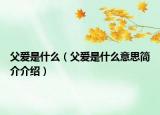父爱是什么（父爱是什么意思简介介绍）