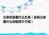立命安身是什么生肖（安身立命是什么动物简介介绍）