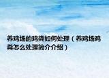 养鸡场的鸡粪如何处理（养鸡场鸡粪怎么处理简介介绍）