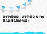 叉子的英语是（叉子的英文 叉子的英文是什么简介介绍）